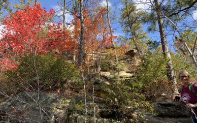 Unlocking Success: Why Choose a Property Management company, or Co-Host for Your Red River Gorge Cabin