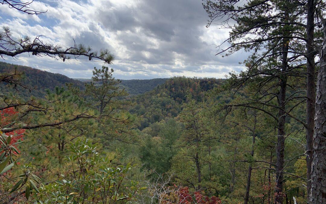 The Red River Gorge, KY Tourism Boom: Why NOW is the time to Invest in Airbnb and Short-Term Rental