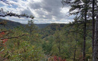 The Red River Gorge, KY Tourism Boom: Why NOW is the time to Invest in Airbnb and Short-Term Rental