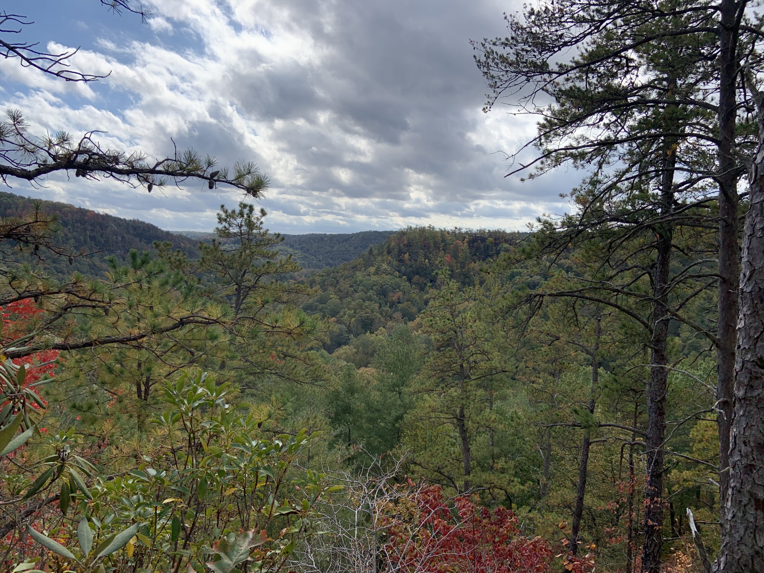 red river gorge tourism beautiful falll picture